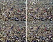 Mamilioni ya Wayemeni Wafurika Barabarani Kuitetea Qur’ani Tukufu Baada ya Kudharauliwa Nchini Marekani