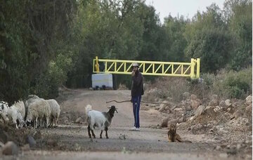 সিরিয়ায় অস্থায়ী চেকপয়েন্ট বসিয়েছে ইসরায়েল/ ২ এলাকা দখল