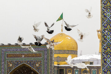 Photos: Snow in Razavi Paradise