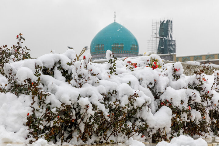 Photos: Snow in Razavi Paradise