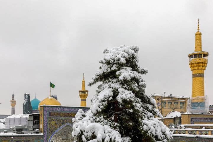 Photos: Snow in Razavi Paradise
