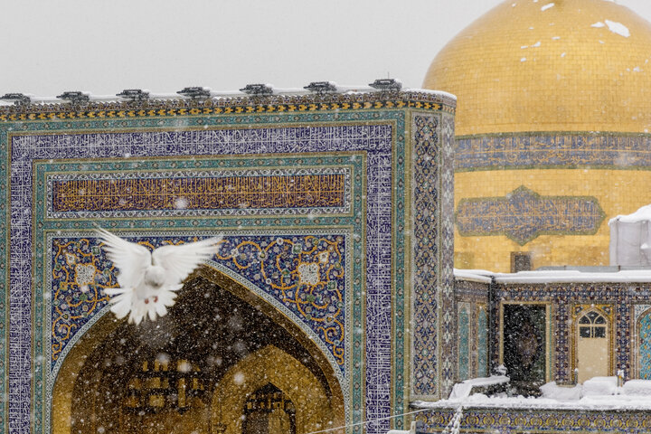 Photos: Snow in Razavi Paradise