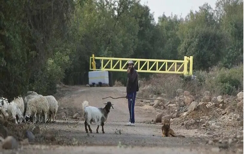 সিরিয়ায় অস্থায়ী চেকপয়েন্ট বসিয়েছে ইসরায়েল/ ২ এলাকা দখল