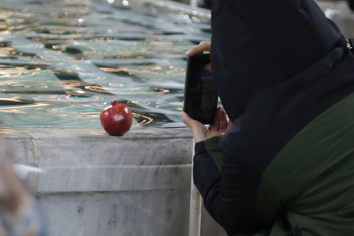 Photos: Atmosphere of Imam Reza holy shrine on night of birth anniversary of Imam Baqir