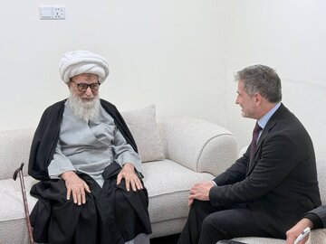 آية الله النجفي يؤكد وجوب احترام ‌‏هوية الشعوب 