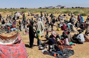 Kesaksian Mengguncang tentang Pembunuhan, Pemerkosaan, dan Eksekusi di Al-Fasher, Sudan