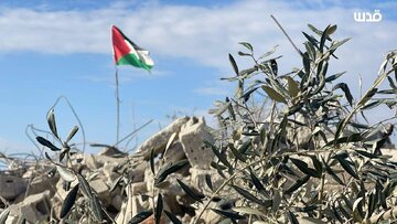 Informe fotográfico | El ejército israelí demuele la vivienda del mártir palestino Malik Salem en la aldea de Bizzariya