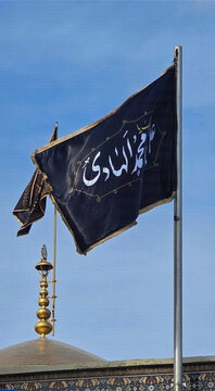 ویدیو | حضور دسته‌های عزا به‌مناسبت شهادت امام هادی(ع) در حرم بانوی کرامت