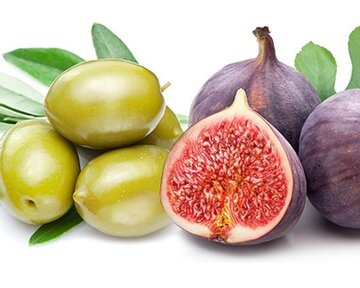 التين والزيتون مثال حي على الإعجاز القرآني الذي يلتقي فيه العلم بالدين