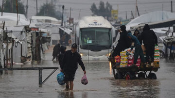 Istaknuti naučnik osuđuje šutnju o zločinima protiv stanovnika Gaze kao izdaju islamskih principa