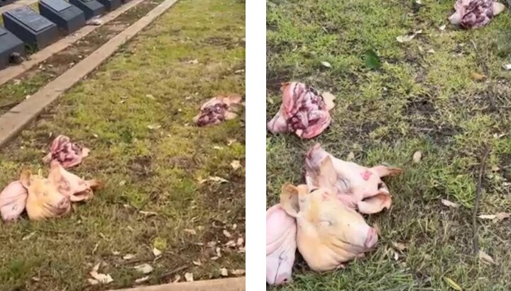 جهش ۲۰۰ درصدی اسلام‌هراسی در استرالیا پس از حادثه تیراندازی سیدنی