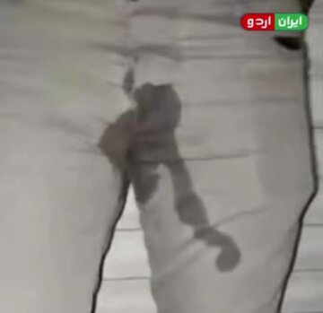 အီရန် ဆန္ဒပြပွဲမှာ  ခါမေနာအီ ကျဆုံးပါစေ လို့  ကြွေးကြော် အော်ဟစ် ခဲ့သူ ၏  သတ္တိအမှန် ပြ ။ ။ video