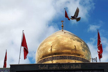 A paciência consciente de Senhora Zaynab (a.s.) como fator da permanência do movimento de Ashura e do despertar da sociedade