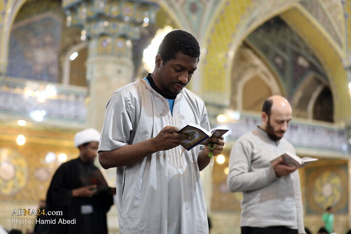 مراسم معنوی «ام‌داوود» در حرم حضرت معصومه(س)