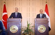 مصر اور ترکی کے وزرائے خارجہ کی یمن، غزہ اور افریقہ کے شاخ پر مشاورت