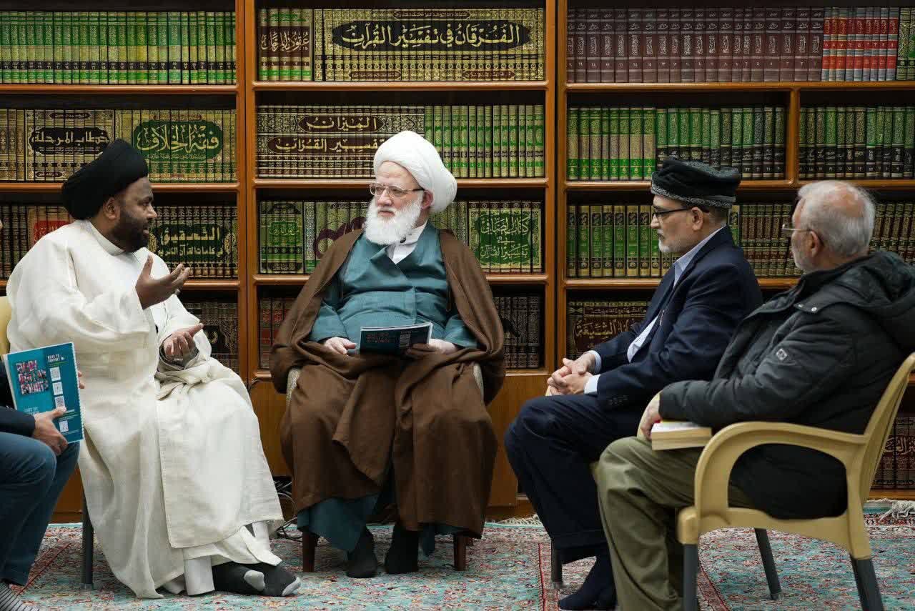 آية الله اليعقوبي يشيد بجهود «منظمة الإمامية الطبية العالمية» (IMI) في مختلف الدول
