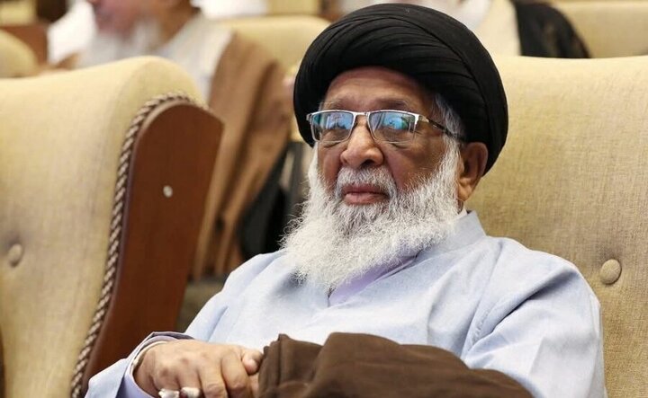 آیت‌الله سیدحافظ ریاض نجفی: ایران و شیعیان، برای احقاق حقوق مسلمانان مبارزه می‌کنند