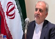 Pakistan Took Bold Step by Voting Against Anti-Iran Resolution: Iranian Ambassador
