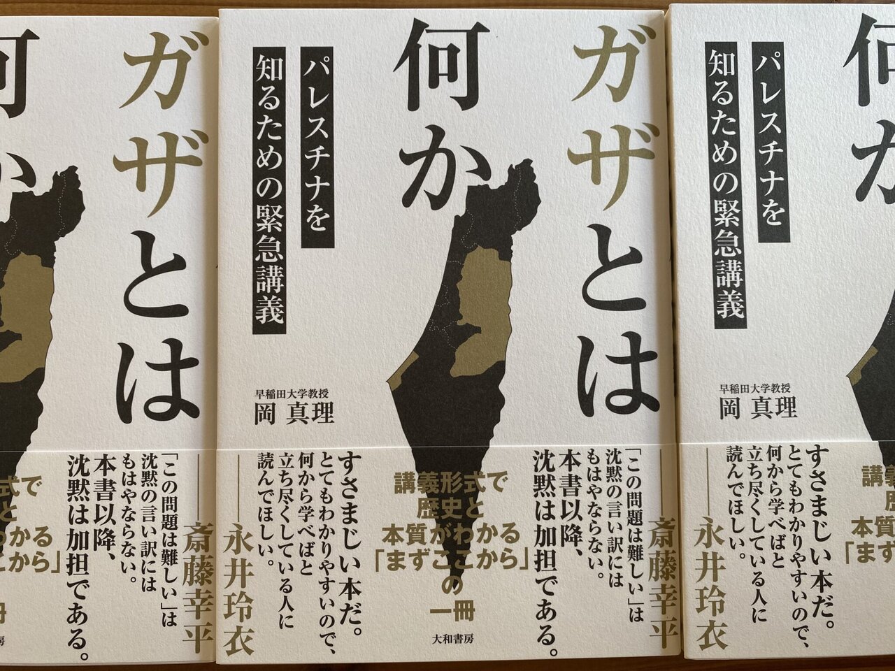 Celebran en Nara una «protesta mediante la lectura» al estilo japonés en apoyo a Palestina