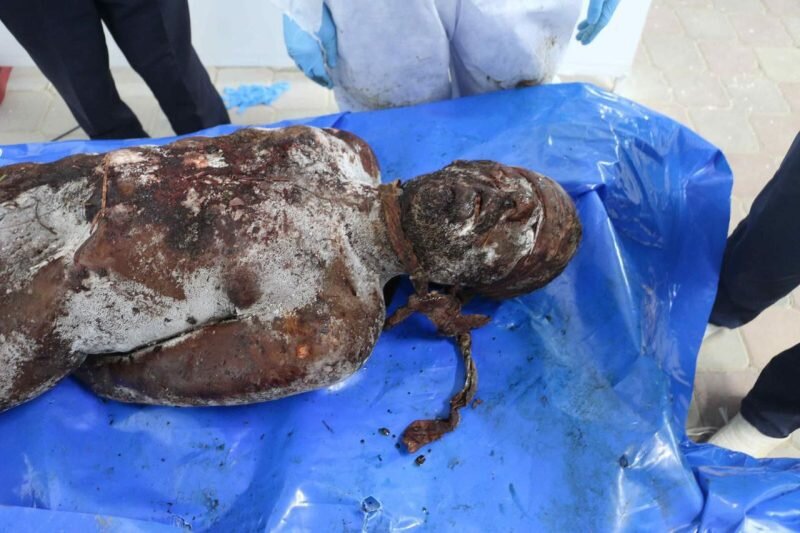 Tawanek tirsnak a Siyonîstan; Îsraîl çawa bû mezintirîn bexşkerê endamên laşê mirovan?