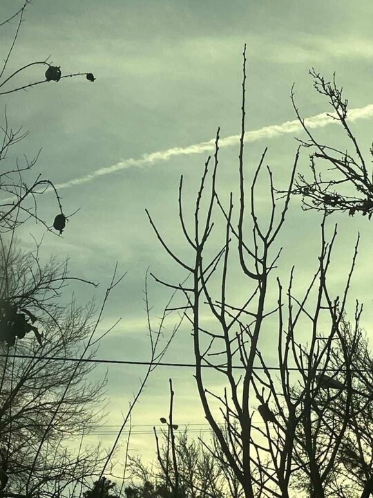 تقرير مصور/ القوات المسلحة الإيرانية تطلق صواريخ باليستية في مناورة عسكرية واسعة