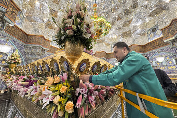 گل‌آرایی حرم حضرت معصومه(س) در آستانۀ ماه شعبان