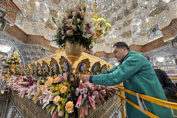 Galeri Foto: Rangkaian Bunga di Makam Sayidah Maksumah sa pada Malam Bulan Syaban