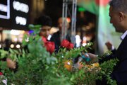 On occasion of birth of Imam Al-Mahdi.. Al-Abbas Shrine distributes flowers, sweets to visitors (+Photos)