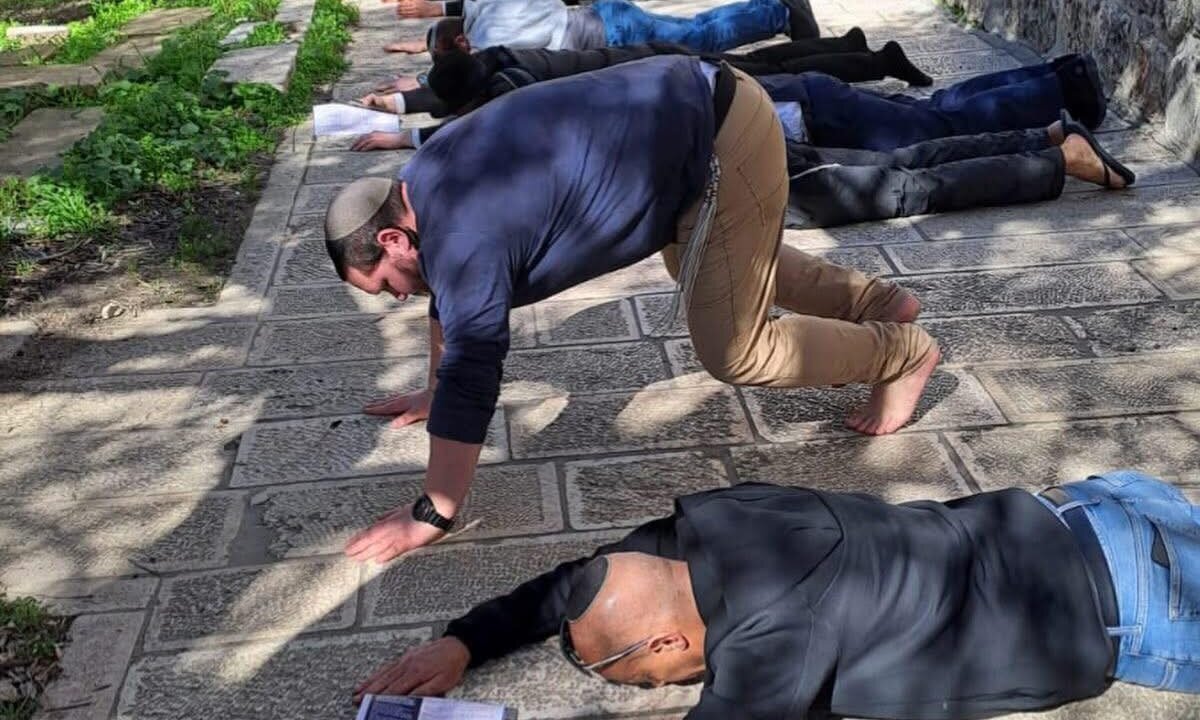 مستوطونون يدنسون باحات المسجد الأقصى