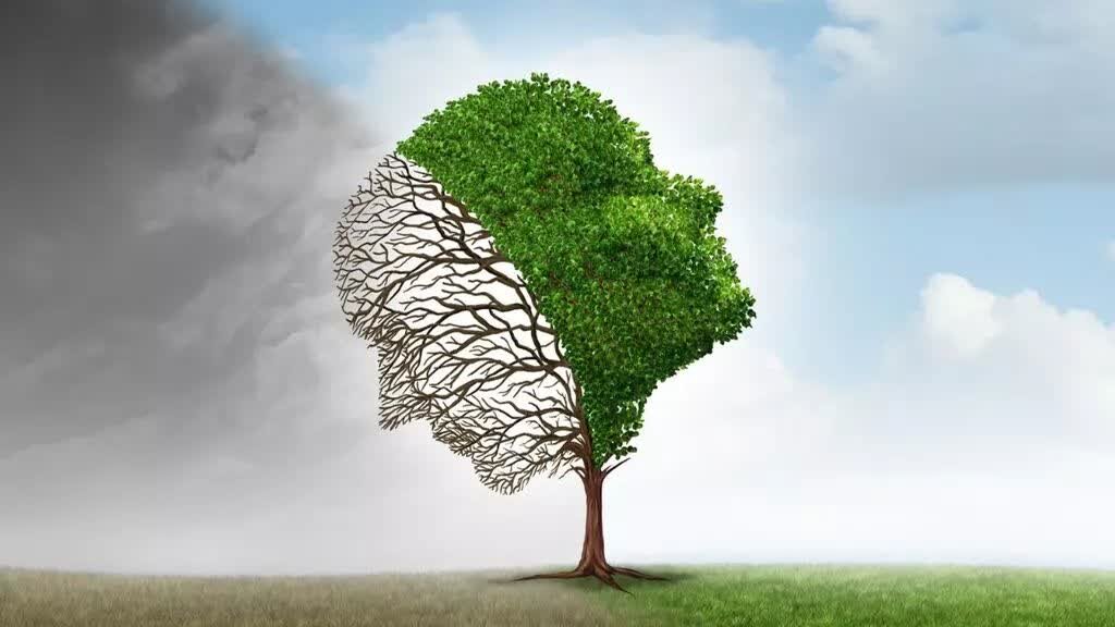 بیان امیرالمومنین(ع) : شناخت افراد در تحول روزگار