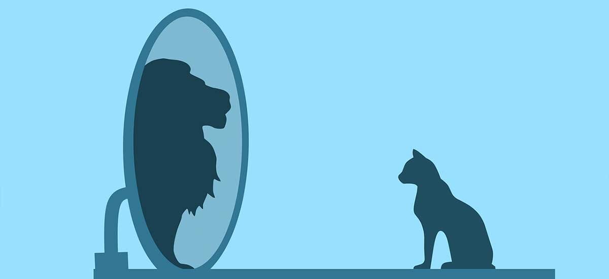 بررسی خودپسندی و راهکارهای درمان