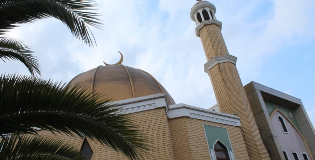 تحقیقات هلند درباره خشونت نژادپرستانه پلیس علیه دو زن مسلمان