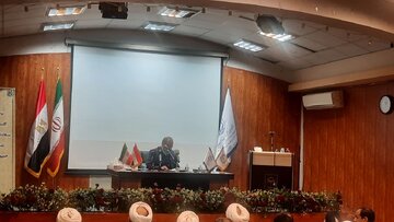 تعامل الازهر و دانشگاه‌ها نیازمند مهندسی اجتماعی اسلامی است