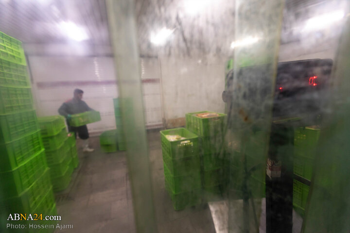 از ذبح اسلامی تا سفره مردم؛ زنجیره‌ای برای امنیت غذایی