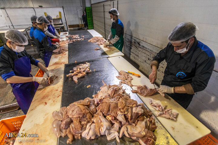 از ذبح اسلامی تا سفره مردم؛ زنجیره‌ای برای امنیت غذایی