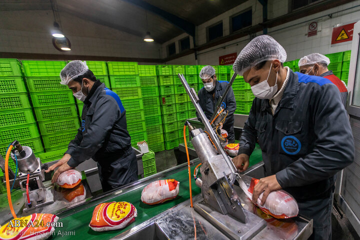 از ذبح اسلامی تا سفره مردم؛ زنجیره‌ای برای امنیت غذایی