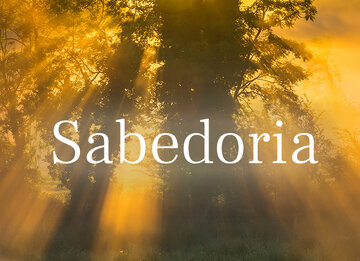 A "sabedoria" não é apenas conhecimento; é a aplicação prática desse conhecimento para o bem