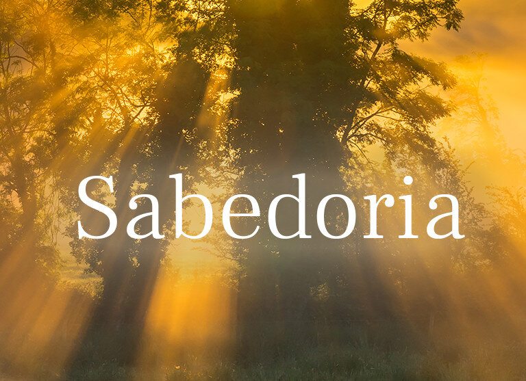 A "sabedoria" não é apenas conhecimento; é a aplicação prática desse conhecimento para o bem