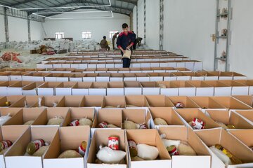 تصویر | پویش رمضانی خادمان حرم مطهر عسکریین(ع) و توزیع بسته‌های معیشتی