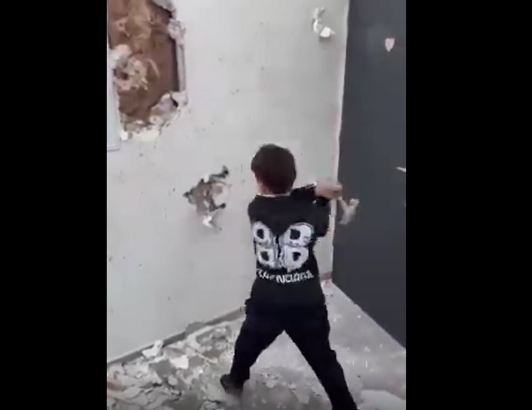 Video: Israeli soldiers force a Palestinian child to demolish his grandfather's house with his own hands