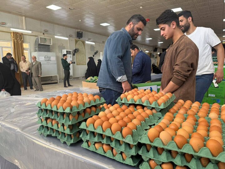تقرير مصور/ عتبة حرم "كميل بن زياد" توزع مساعدات غذائية ومالية على أسر الأيتام