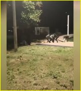 اسرائیل میں ہندوستانی مزدوروں پر صہیونیوں کا وحشیانہ حملہ