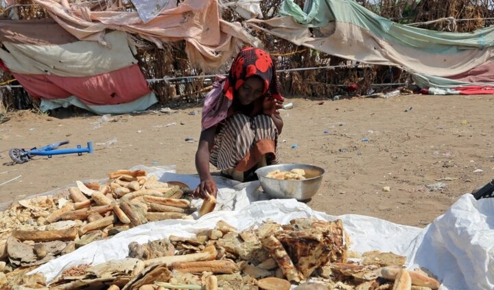 ۲۲ میلیون یمنی در ناامنی غذایی/ بحران انسانی در یمن به اوج رسید