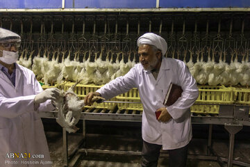 ဟလာလ်စံနှုန်း အတိုင်း သတ်ခြင်း မှ ပြည်သူ့စားပွဲအထိ / အစားအသောက်လုံခြုံရေးအတွက် ခိုင်မာသော ဆက်သွယ် ကွင်းဆက်။ ။ Photos