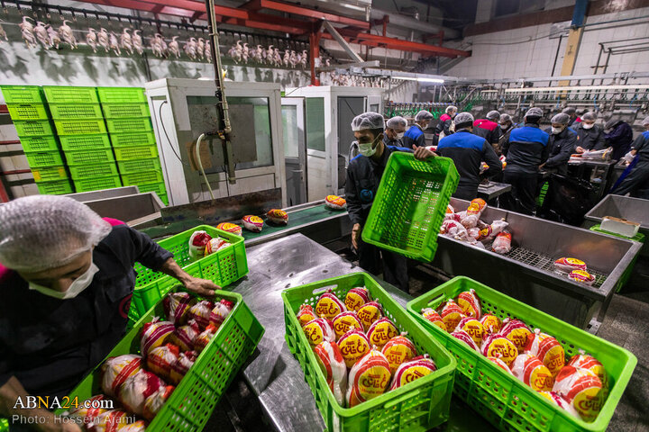 ဟလာလ်စံနှုန်း အတိုင်း သတ်ခြင်း မှ ပြည်သူ့စားပွဲအထိ / အစားအသောက်လုံခြုံရေးအတွက် ခိုင်မာသော ဆက်သွယ် ကွင်းဆက်။ ။ Photos