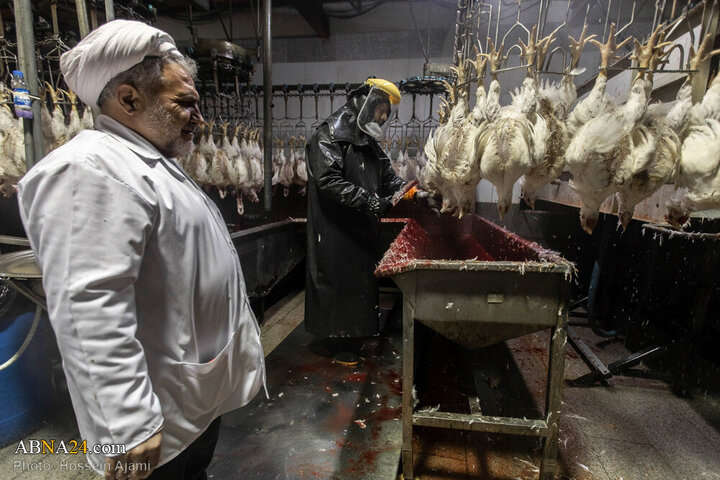 ဟလာလ်စံနှုန်း အတိုင်း သတ်ခြင်း မှ ပြည်သူ့စားပွဲအထိ / အစားအသောက်လုံခြုံရေးအတွက် ခိုင်မာသော ဆက်သွယ် ကွင်းဆက်။ ။ Photos