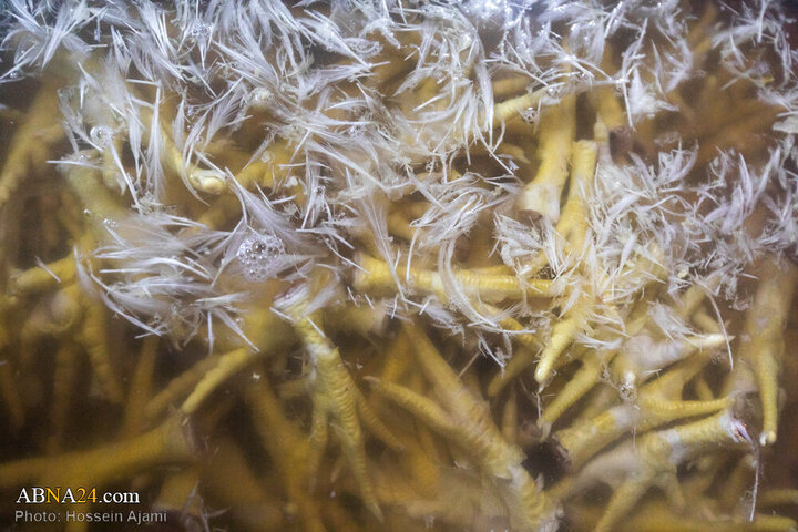 ဟလာလ်စံနှုန်း အတိုင်း သတ်ခြင်း မှ ပြည်သူ့စားပွဲအထိ / အစားအသောက်လုံခြုံရေးအတွက် ခိုင်မာသော ဆက်သွယ် ကွင်းဆက်။ ။ Photos