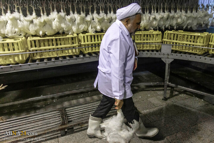 ဟလာလ်စံနှုန်း အတိုင်း သတ်ခြင်း မှ ပြည်သူ့စားပွဲအထိ / အစားအသောက်လုံခြုံရေးအတွက် ခိုင်မာသော ဆက်သွယ် ကွင်းဆက်။ ။ Photos