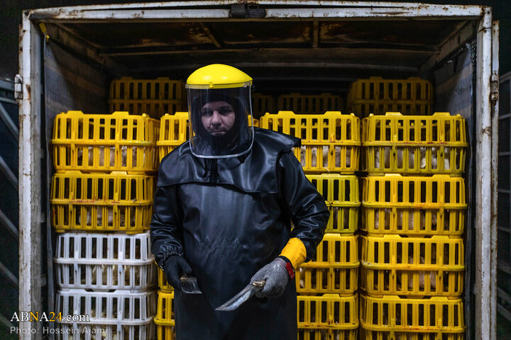 ဟလာလ်စံနှုန်း အတိုင်း သတ်ခြင်း မှ ပြည်သူ့စားပွဲအထိ / အစားအသောက်လုံခြုံရေးအတွက် ခိုင်မာသော ဆက်သွယ် ကွင်းဆက်။ ။ Photos