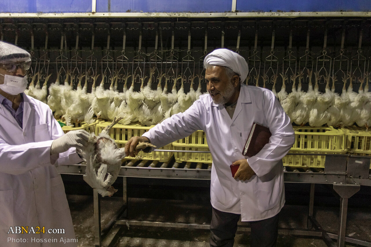 ဟလာလ်စံနှုန်း အတိုင်း သတ်ခြင်း မှ ပြည်သူ့စားပွဲအထိ / အစားအသောက်လုံခြုံရေးအတွက် ခိုင်မာသော ဆက်သွယ် ကွင်းဆက်။ ။ Photos